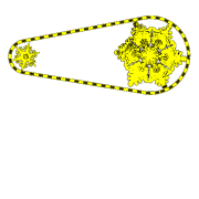 graZIBor2017