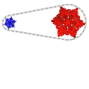 graZIBor2018